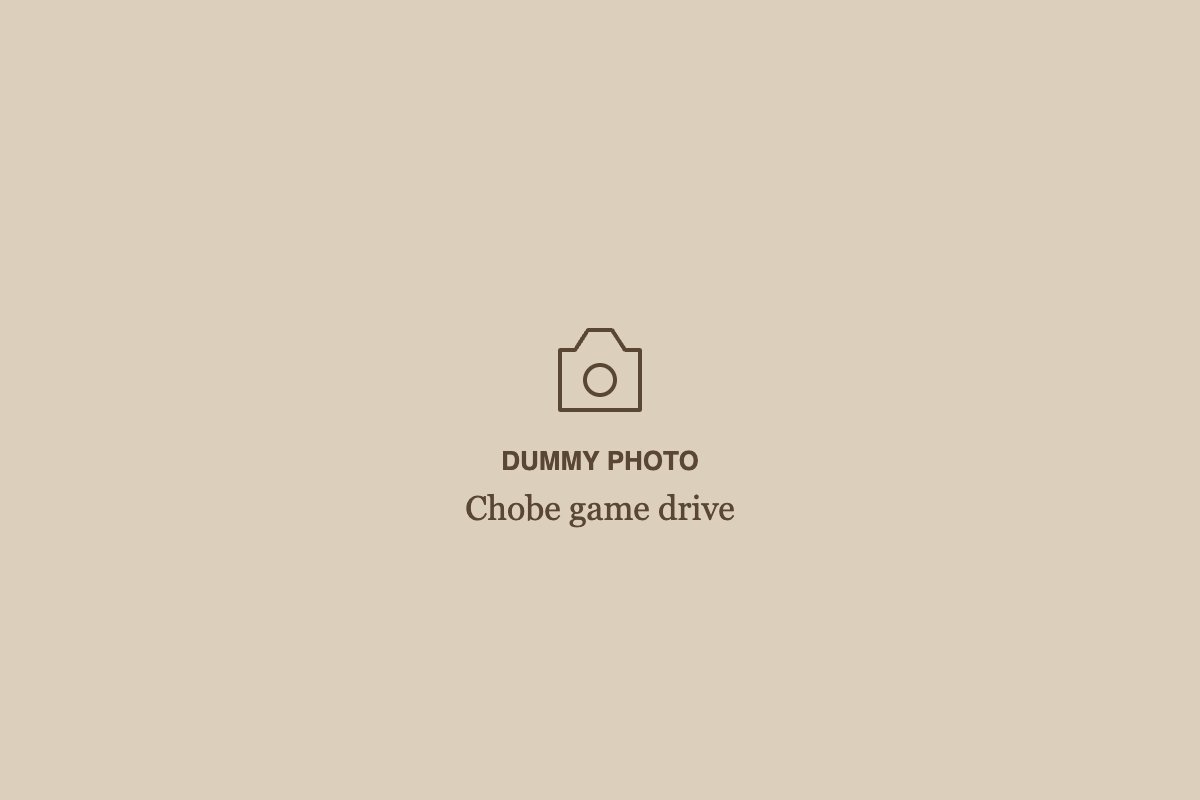 Placeholder photo: Chobe game drive